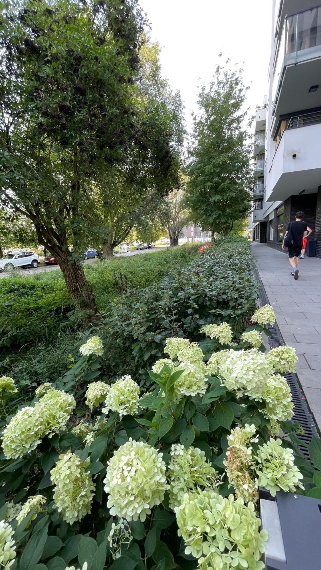 Apartamenty Warszawa Centrum Wlodarzewska 30 מראה חיצוני תמונה